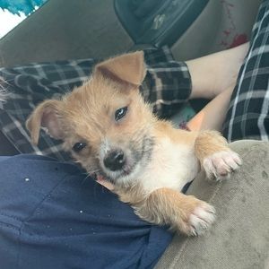 Meet your Posher, Esperanza